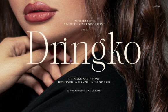 Dringko Serif Font for Modern Web Design
