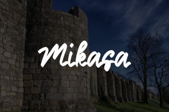 Mikasa Font for Eye-Catching Branding