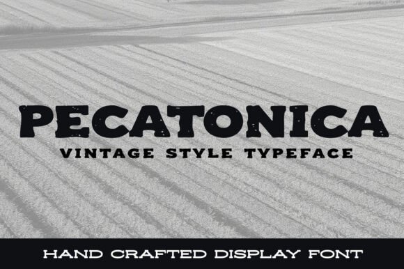 Pecatonica Font for Professional Branding