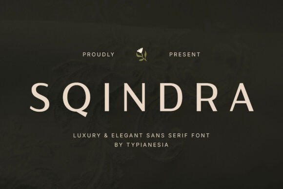Sqindra - A Modern Sans Serif Font for Bold Campaigns